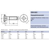 KAPUPÁNTCSAVAR M05*050 DIN 603-A2 INOX  METRIKUS CSAVAROK