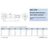 BK M05/06*010 ILLESZTŐCSAVAR ISO 7379 12.9 F9 IMPORT METRIKUS CSAVAROK